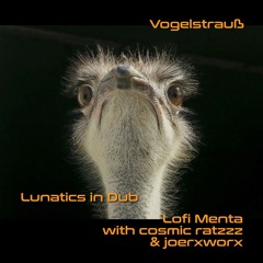 Vogelstrauß / Lunatics in Dub / Lofi Menta with Cosmic Ratzzz & joerxworx