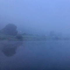 "Silent Day" Rain Listening Session