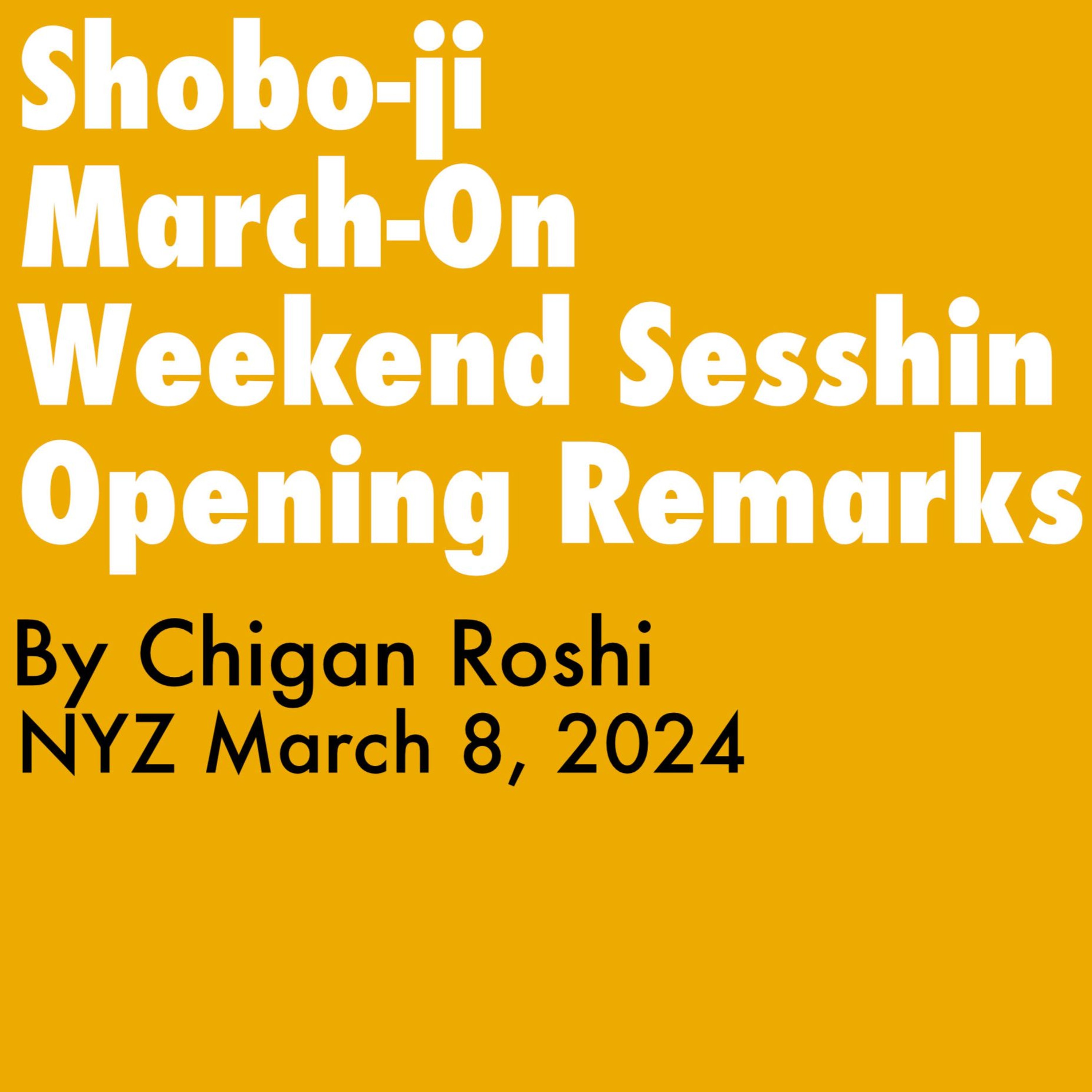 2024.03.08 - Opening Remarks By Chigan Roshi, NYZ March - On Sesshin episode artwork