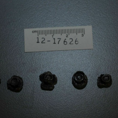 LoserGirlfriend - Plan For The Future