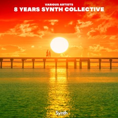Various Artists - 8 Years Synth Collective