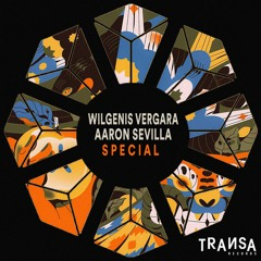 Wilgenis Vergara, Aaron Sevilla - Special (Original Mix)