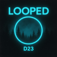 LOOPED. #8 - D23 (Schranz)