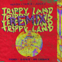 TRIPPY LAND REMIX (Mr. Carmack x G-Space x finneh)