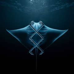 anjuna 2