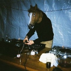 Horsing Around