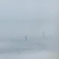 stormy rose the ocean