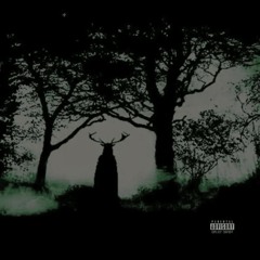 Star Pvnk - Skiá