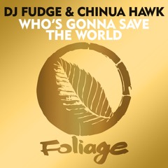 DJ Fudge & Chinua Hawk – Who’s Gonna Save The World (Vocal Mix)