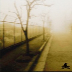 𝖘 𝖍 𝖔 𝖗 𝖊