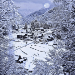 Xmas vacation