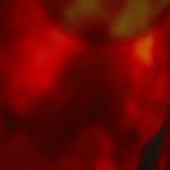 The Musick Revolution  Suiecide Bombing By Mr.?Buda sample3