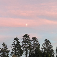 Learning to Warm Cold Hands