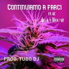 Anam Hermit    Continuiamo A Farci