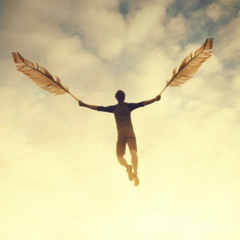 fly to the sky