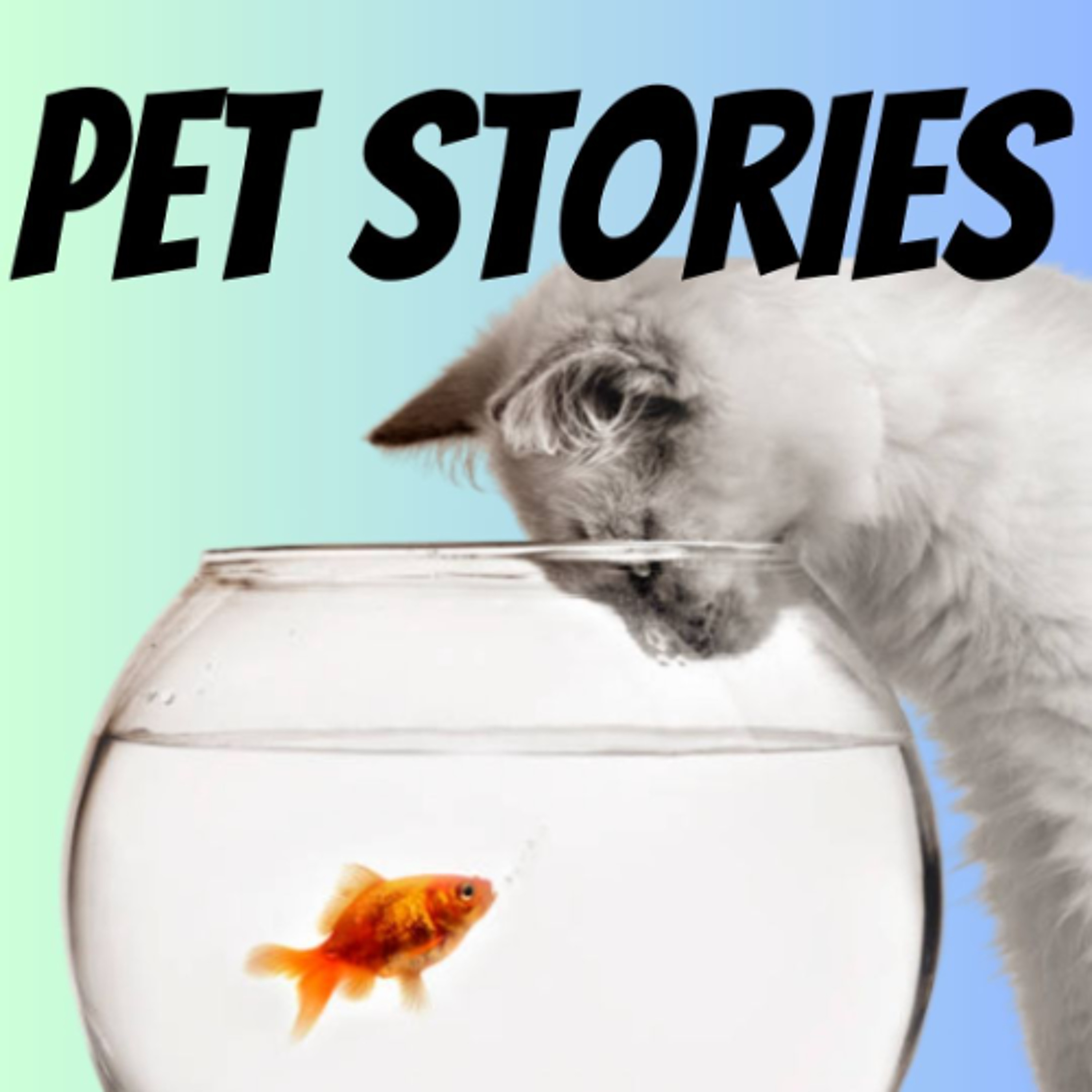Pet Stories - Eliza, Aurelia, Oscar and Harry - Xavier College episode artwork