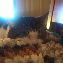 Into My Arms - Nick Cave And The Bad Seeds  Fallen in love with this album