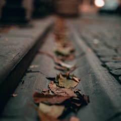 Noviembre 88 BPM (Prod. The Neighbor No. 13) LOFI LO-FI SAMPLED BOOMBAP WINTER BEAT