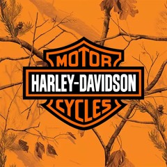 HARLEY-DAVIDSON ft kingpollo