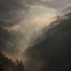 noises from a valley