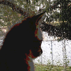 КОТУ