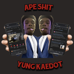 ape shit (p bartek)