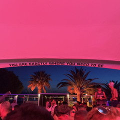 Gin & Juice x Bish don't kill my vibe