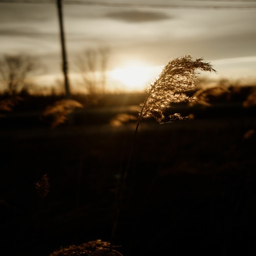 93Alekk, Lipoov - Memories Of Home