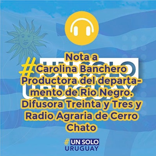 trama Rico mensual Stream Nota A Carolina Banchero Productora Del Departamento De Rio Negro. Difusora 33 y Radio Agraria by Un Solo Uruguay | Listen online for free on SoundCloud trama Rico mensual Stream Nota A Carolina Banchero Productora Del Departamento De Rio Negro. Difusora 33 y Radio Agraria by Un Solo Uruguay | Listen online for free on SoundCloud