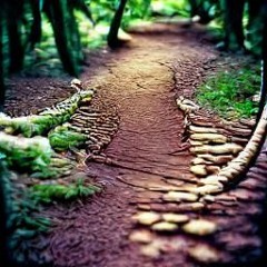 Sunset Strides- Caesar A, Tapia with The Iris