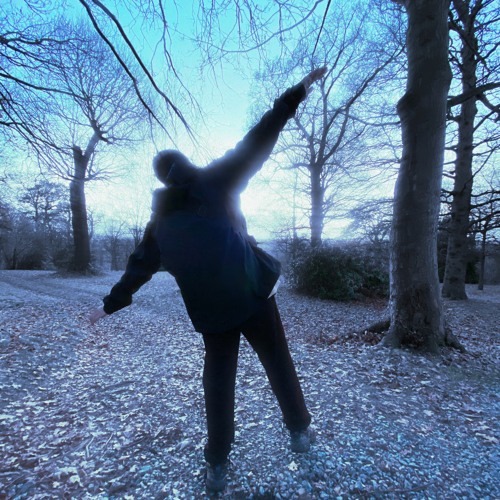 A Walk In The Woods (Pop Carol 2020)