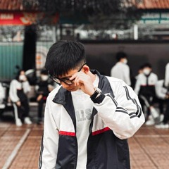 Nhạc Việt Anh 26 - AnhDuc Mix