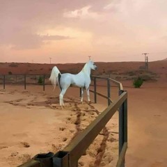 يا حنينَ الشَّوقِ فينَا * حلَّ بينٌ يا حنينَا