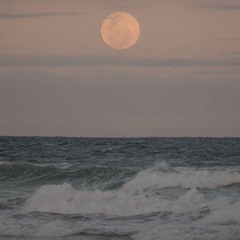 Đáy Biển - Nhất Chi Lựu Liên.