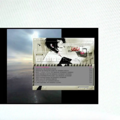 3446 Hyperstarz 142 GINSENG CEDRIC