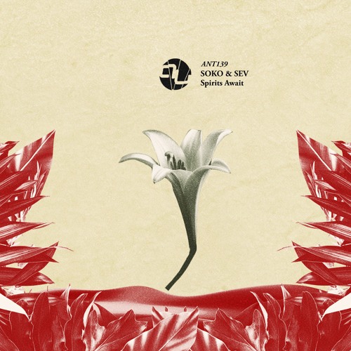 Soko & Sev - Hollow Chant
