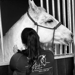 Getting horses to the hospital with Mandy Toovey