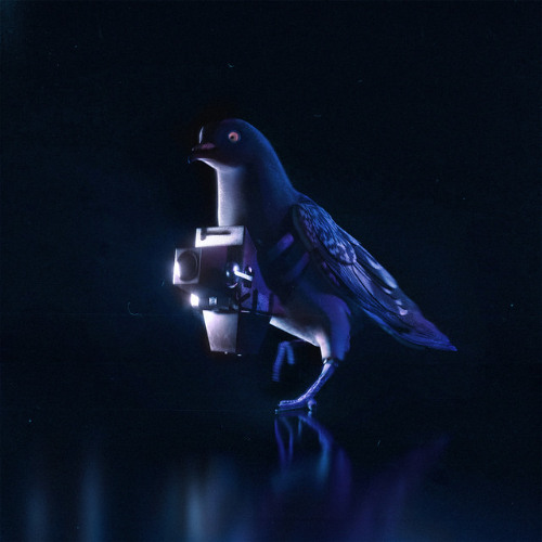 Keys Don't Match (Wash And Fold Laundry Service Remix)