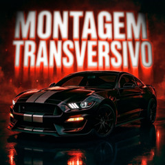 MONTAGEM TRANSVERSIVO