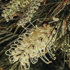 127DISCOHOUSEGROOVE (A3MIX)