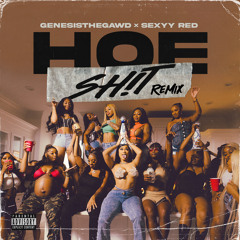 Hoe Shit (Remix) [feat. Sexyy Red]