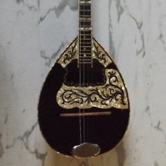 first try with a bouzouki