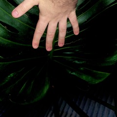 Monstera- 10 min beats Mixtape