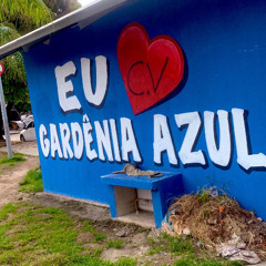 NO GARDENIA ÁREA DE RISCO ( DJ PEDRINHO & 2K TREME-TERRA )