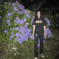 紫陽花 (Prod.frevel)