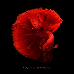 Prodigy - Breathe (Earl Hill Bootleg)