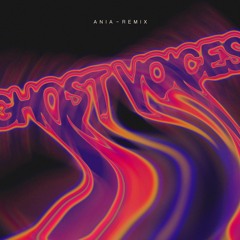 Virtual Self - Ghost Voices (ANIA Remix) Free DL