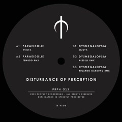WCYA - Disturbance of Perception Ep Incl. Kessell, Temudo and Ricardo Garduno Remix