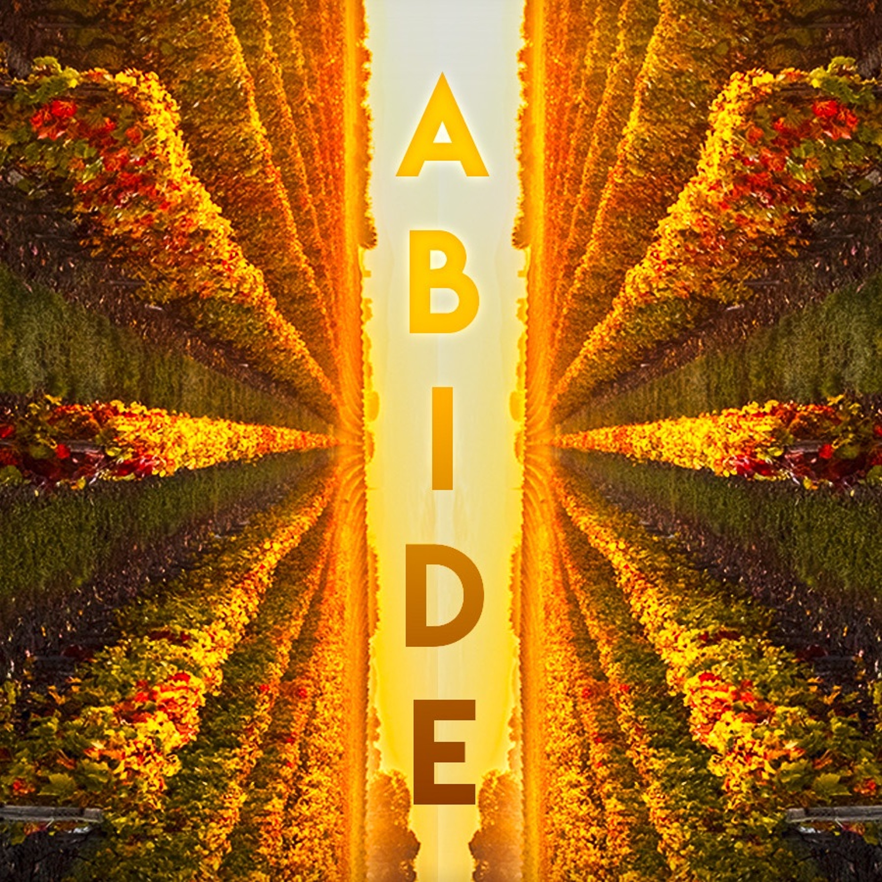 Abide - The True Vine - Pastor Chris Britton