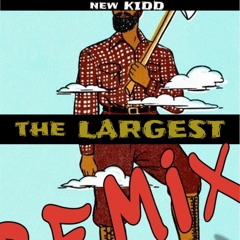 THE LARGEST remix